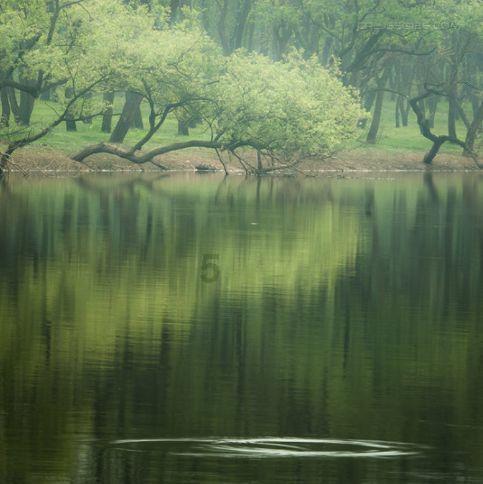 以撒的结合：胎衣