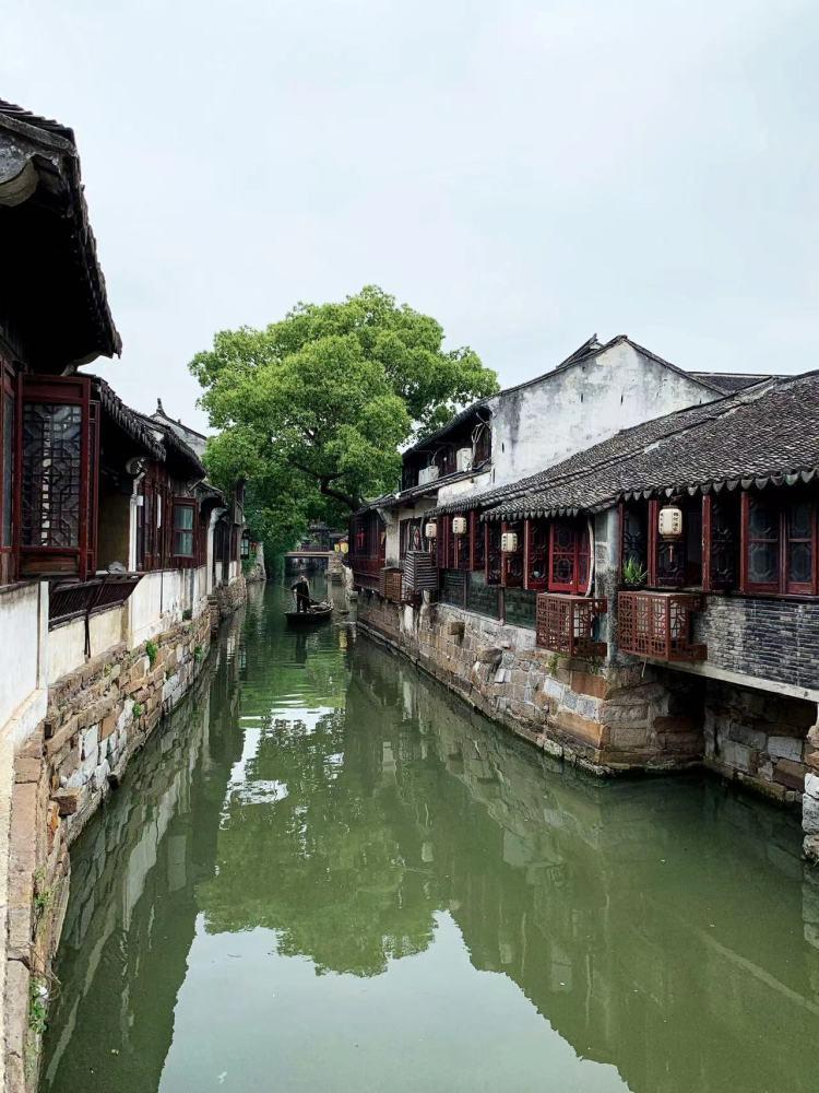 饿了可以吃香蕉吗?